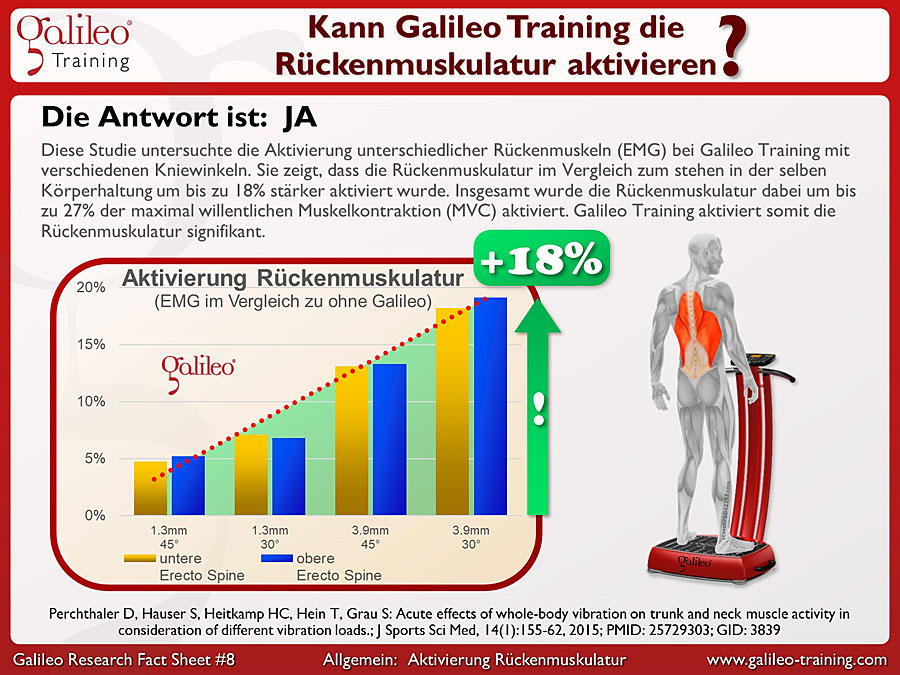 Galileo Research Facts No. 8: Kann bei Galileo Training die Rückenmuskulatur aktiviert werden?
