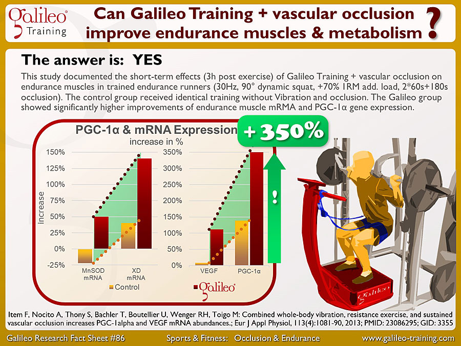 Galileo Research Facts No. 86: Can Galileo Training + vascular occlusion improve endurance muscles & metabolism?