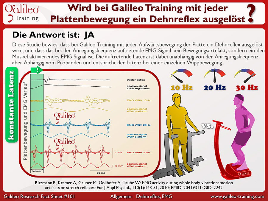 Galileo Research Facts No. 101: Wird bei Galileo Training mit jeder Platenbewegung ein Dehnreflex ausgelöst?